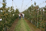 Rheinland-Pfalz en Nordrhein-Westfalen willen samenwerken bij de fruitteelt